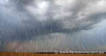 Processors in overdrive on cattle backlog; big rains allow breathing space