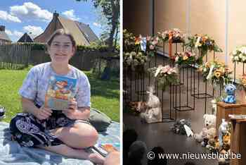 Dinte (12) zou in mei eerste rockconcert bijwonen, maar twee weken geleden stierf ze onverwacht in haar slaap