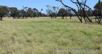 AAM's large-scale central west Mt Harden aggregation on the market | Video