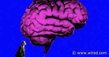 Databricks Has a Trick That Lets AI Models Improve Themselves