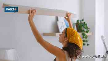 Handwerklich unbegabt? Wie die Baumärkte ausgerechnet um die Generation Z buhlen