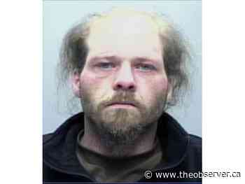 Ex-Rainbow Park camper jailed for threatening to burn tent down, kill woman