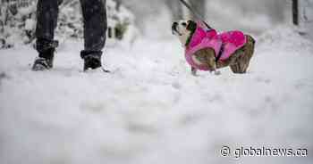 Lousy Smarch weather: Wet snow, freezing rain expected in Alberta