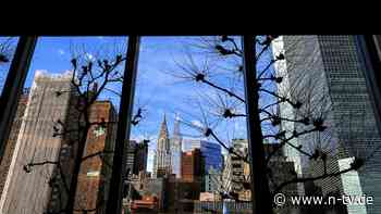 "Kollegen waren etwas nervös": UN warnen Mitarbeiter vor willkürlichen Festnahmen