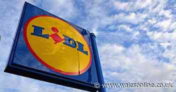 Lidl imposes limit of two per person on £4 item available in all branches