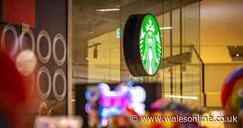 Man exposed himself in Starbucks and in front of schoolchildren but blamed 'very short' shorts