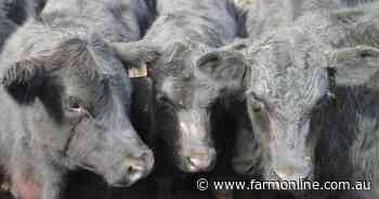 If you're in cattle, this is the category you want to be selling right now