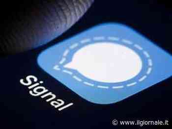 Perché Signal è un problema per la sicurezza nazionale (non solo negli Usa)