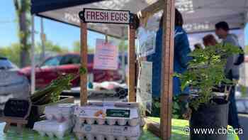 Sask. government says ungraded eggs can now be sold at farmers' markets