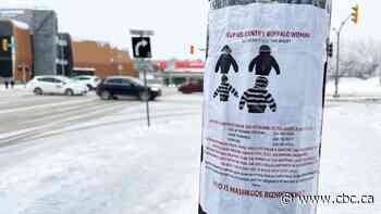 Police to give update on Mashkode Bizhiki'ikwe, unidentified victim of Winnipeg serial killer