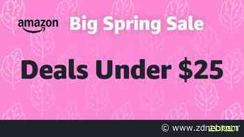 The best Amazon Spring Sale deals under $25