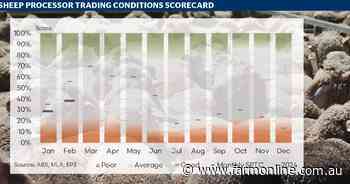 Sheep processing: cautious optimism as sector shows early signs of recovery