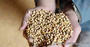 Frankrijk: Verwijder soja uit schoolkantines en bedrijfsrestaurants