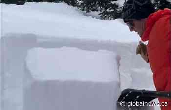 ‘Now is not the time to be in the backcountry,’ Avalanche experts say