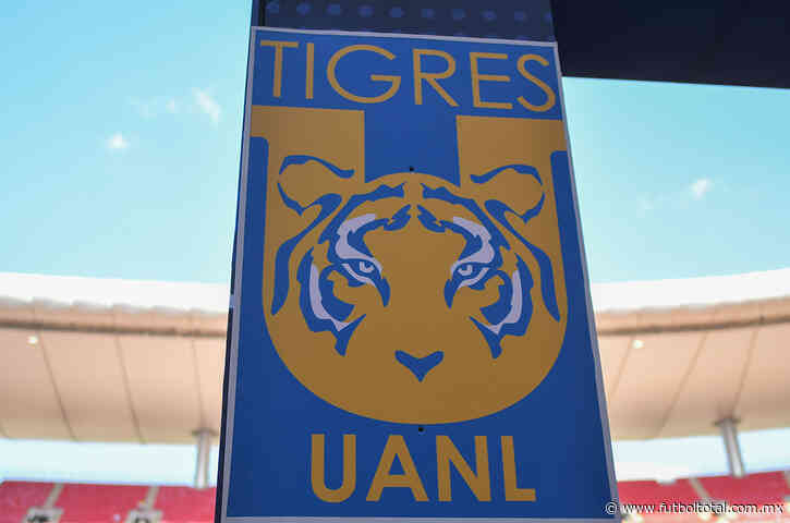 ¿Cuánto tendría que pagar Tigres por Correa y Luis Chávez? ¿Se vienen los bombazos para el Apertura 2025?