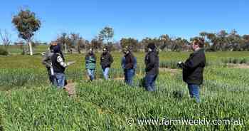 New barley technologies help growers gain control of barley and brome grass