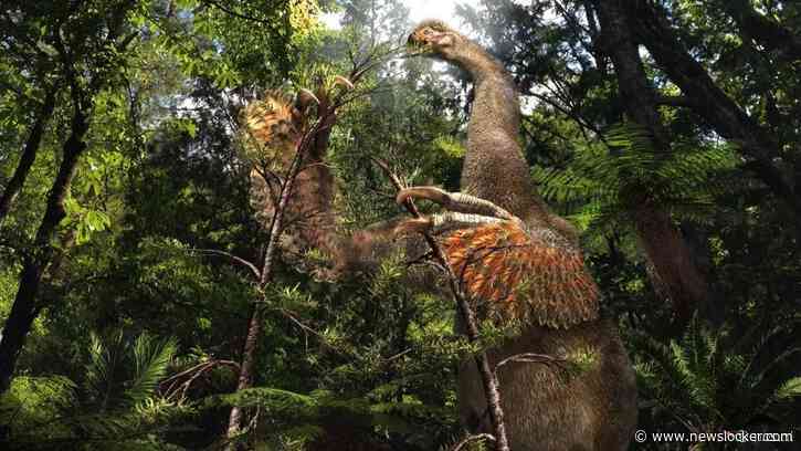 Bizarre tweeklauwige dinosaurus ontdekt in Mongolië