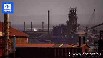 Whyalla's 'MacGyver-like' steelworkers praised as site on track for sale