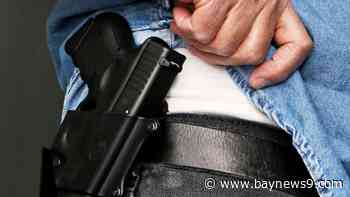 College campus carry bill dies in Florida Senate