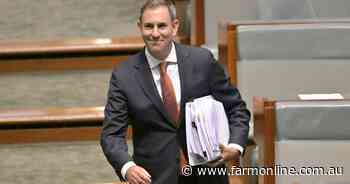 Saving Albo's skin: Chalmers' pre-election budget has little room for bush