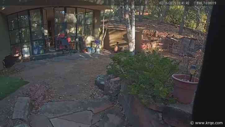 Body camera footage shows moments after deputies discover Gene Hackman's body in Santa Fe home