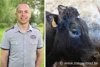 “Open communicatie? Waarom zijn er dan zwijgcontracten?”: debat rond chemisch havenbedrijf op scherp gesteld