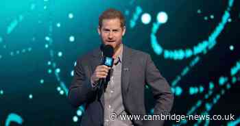 Duke of Sussex quits charity he set up in honour of his mother Diana