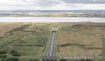 Campaigners disappointed at Lower Thames Crossing decision