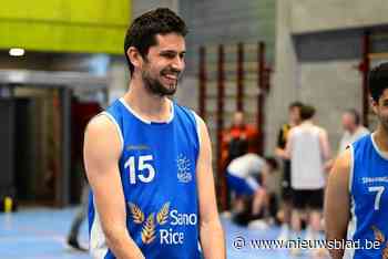 BASKETBABBELS. Bavi Gent op zoek naar speelsters, Helios Zottegem op veilige plaats en eerste kampioen in Oost-Vlaanderen?