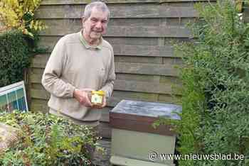 Hobby-imker Willy (77) wordt beloond met label ‘100% West-Vlaams’ en deelt zijn geheim: “Elke lading honing smaakt hier anders”