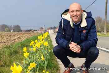 Indrukwekkend bloementapijt kleurt Deerlijkse straten: “Verfraaiing, maar draagt ook bij aan lokale diversiteit”