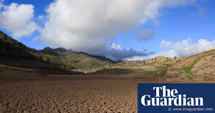 Tackling climate crisis will increase economic growth, OECD research finds