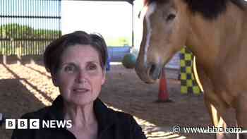 Horse-assisted mental health charity to close base