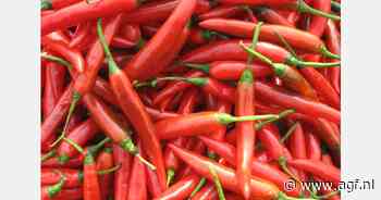 RASFF: formetanaat-hydrochloride in Turkse pepers