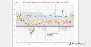 Bananenprijs €153 (-€28) in Roemenië
