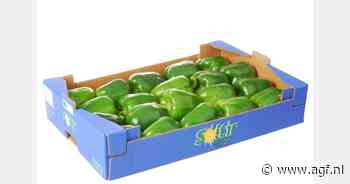 "Vraag naar paprika's zal tot eind april groter zijn dan aanbod"