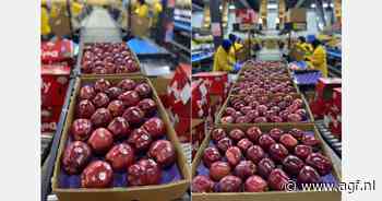 Turkse appeloogst kleiner, maar wel van goede kwaliteit