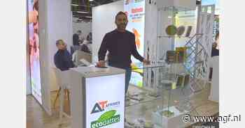 "Extreme regenval vermindert Tunesische dadeloogst"