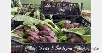 Overschot aan artisjokken op de markt