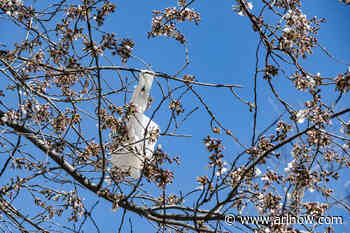 Morning Notes for March 26, 2025