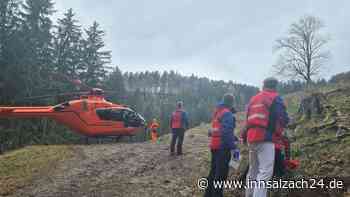 Unfall bei Holzarbeiten an der Hochplatte: Bergwacht Grassau gefordert