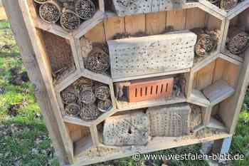 Unbekannte randalieren auf dem Grillplatz in Isenstedt
