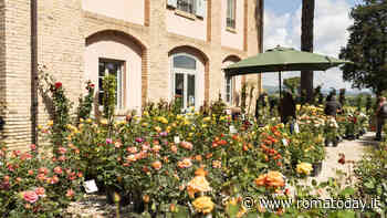 Floracult, mostra mercato di piante, fiori e sostenibilità