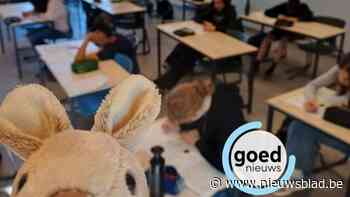 Leerlingen en leerkrachten Spectrumcollege Campus Paal doen mee aan de Kangoeroewedstrijd