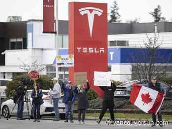 Used Teslas are piling up on the resale market. What to know if you are brave enough to buy one