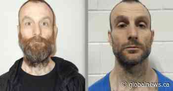 Warning about ‘dangerous offender’ who attacked 5-year-old issued by Toronto police