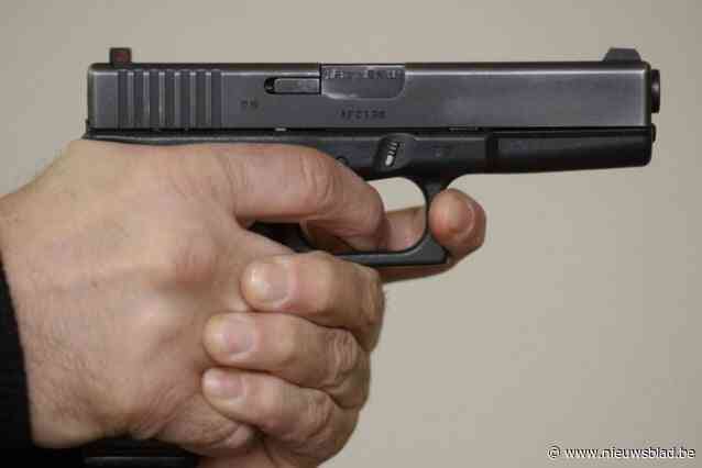 Man steekt haag in brand met lichtkogel en wordt zo betrapt op verboden wapenbezit: 60 uur werkstraf