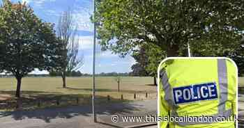 Three boys arrested by armed police after ‘group seen with knife’ in Parsloes Park