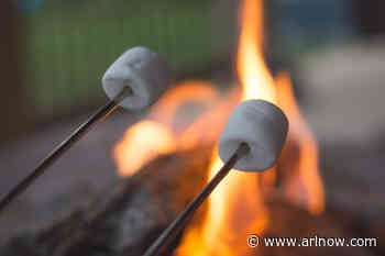 Arlington summer camps offer greater flexibility to help terminated federal workers