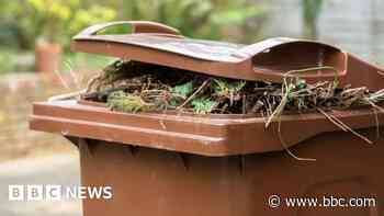Rare free green waste service to resume